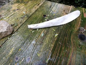 WHW: Generalversammlung, 11. Mai 2019